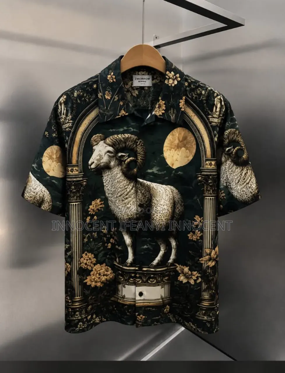 Shoe Canvas Clothes