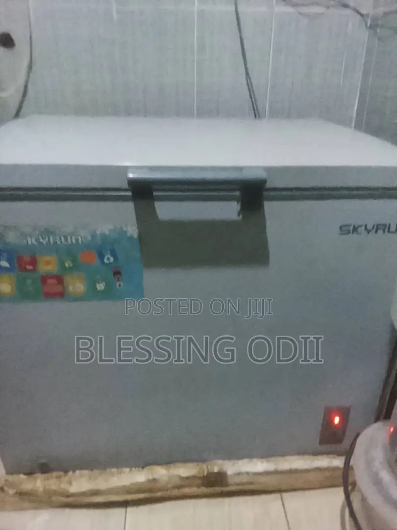 Skyrun Deep Freezer 260liters 8months Use