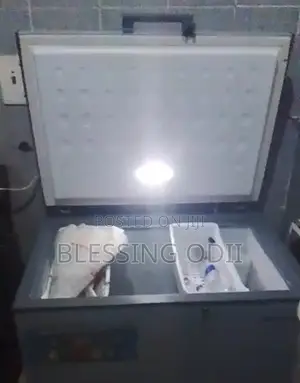 Skyrun Deep Freezer 260liters 8months Use