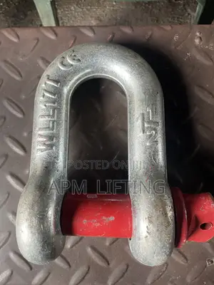 17ton(11/2”) Screw Pin D-Shaped Shackles Anchor