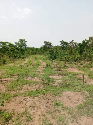 Tpumpy Premium Lands in Ekiti and Ilorin