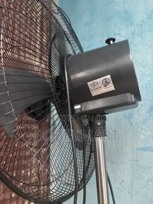 STC Standing Fan