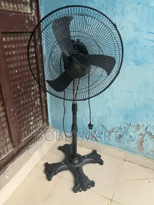 STC Standing Fan