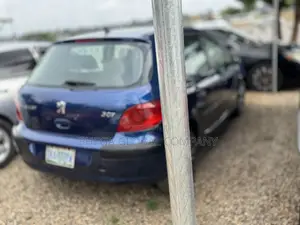 Peugeot 307 2005 Blue