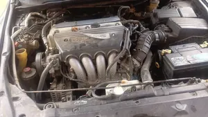 Honda Accord 2007 Blue