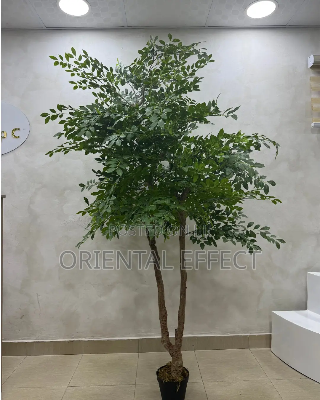 Artificial Elm Seed Tree 200cm | Artificial Plant Nigeria