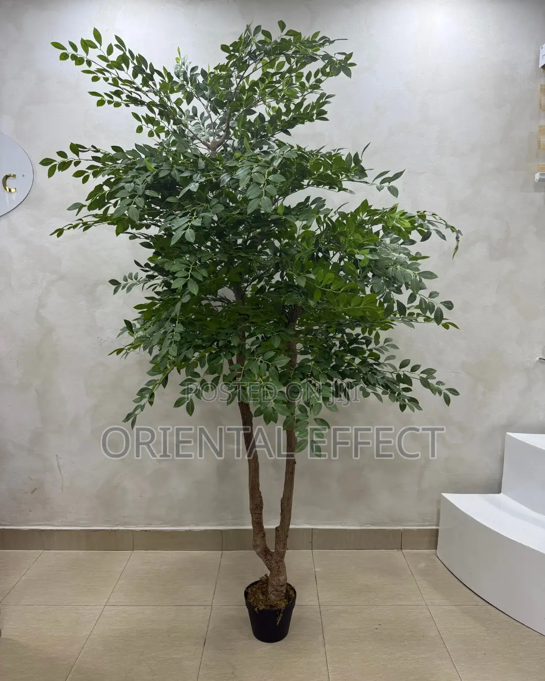 Artificial Elm Seed Tree 200cm | Artificial Plant Nigeria