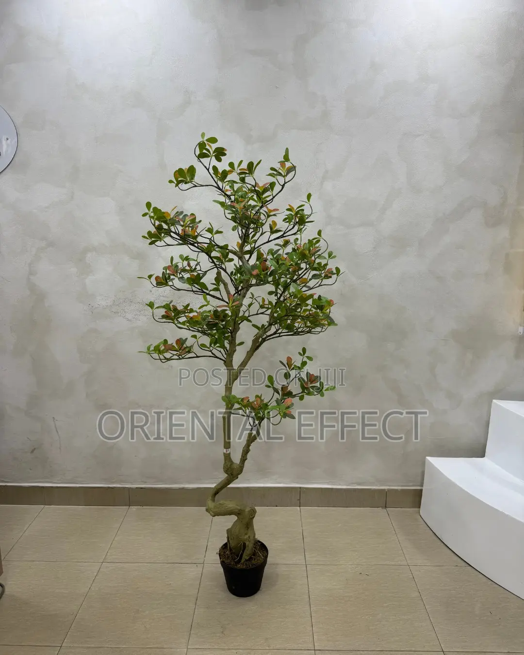 Artificial Osman Tree 150cm | Artificial Plant Nigeria