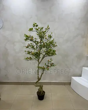 Artificial Osman Tree 150cm | Artificial Plant Nigeria