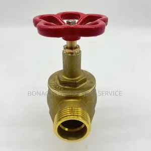 PN16 Brass Fire Hydrant Angle Valve 2.5"