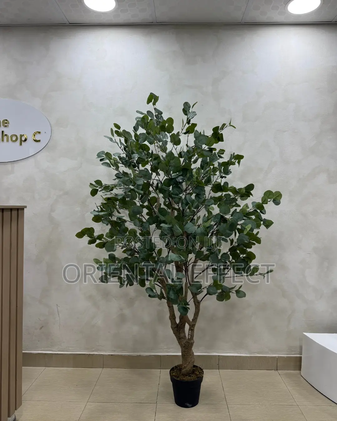 Artificial Eucalyptus Forest 180cm | Artificial Plant Nigeria