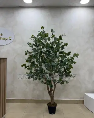 Artificial Eucalyptus Forest 180cm | Artificial Plant Nigeria