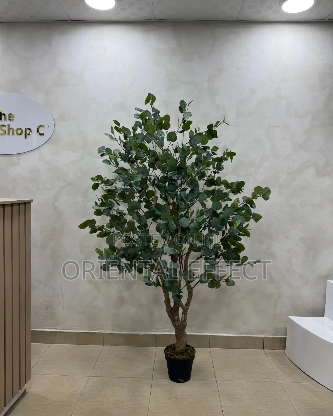 Artificial Eucalyptus Forest 180cm | Artificial Plant Nigeria