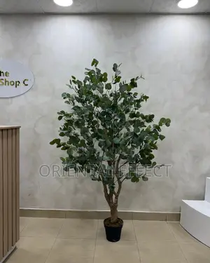 Artificial Eucalyptus Forest 180cm | Artificial Plant Nigeria