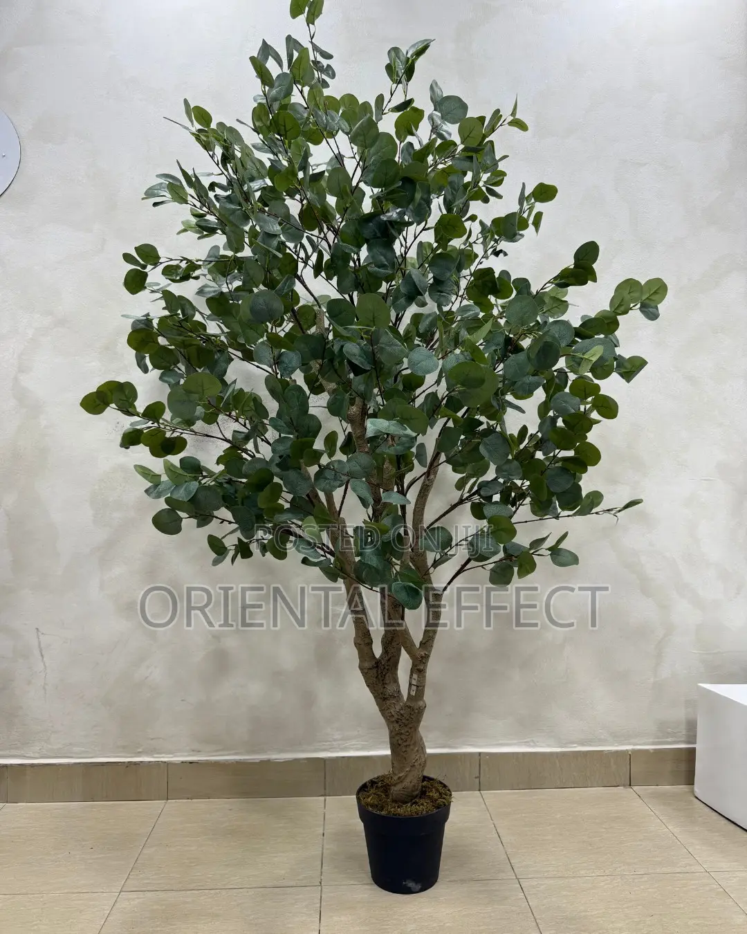 Artificial Eucalyptus Forest 180cm | Artificial Plant Nigeria