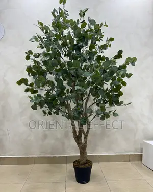 Artificial Eucalyptus Forest 180cm | Artificial Plant Nigeria