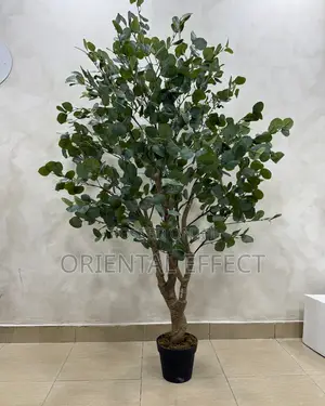 Artificial Eucalyptus Forest 180cm | Artificial Plant Nigeria