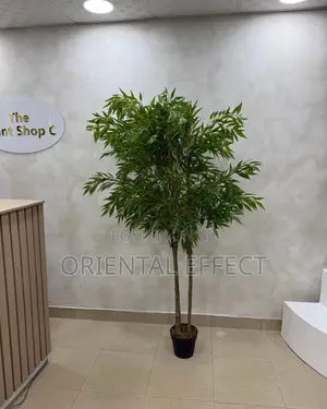 Artificial Mahonia Tree 200cm | Artificial Plant Nigeria