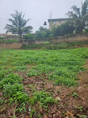 Above a Plot of Land Fully Fenced and Gated