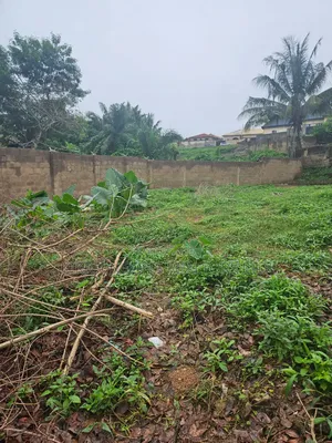 Above a Plot of Land Fully Fenced and Gated