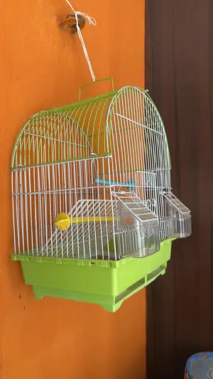 Bird Cage for Parrots Small Birds – Durable Spacious