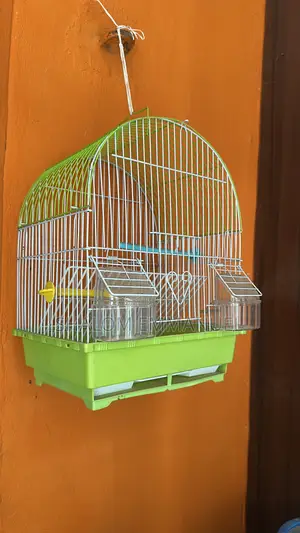 Premium Bird Cage for Parrots Small Birds – Durable Spacious
