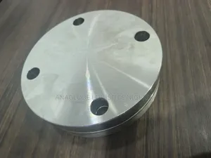 Blind Flange SS 316 2" X 150