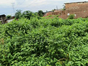Piece of Land at Boluwaduro Estate via Itaoluwo Ikorodu Lagos Nigeria