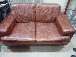 Neat Double Seater Sofa Cushion