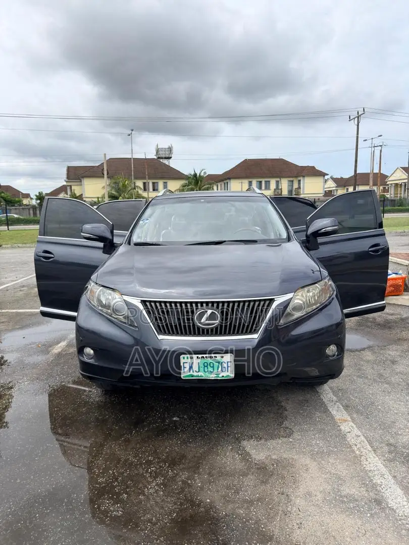 Lexus RX 2011 Gray