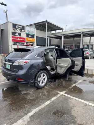 Lexus RX 2011 Gray