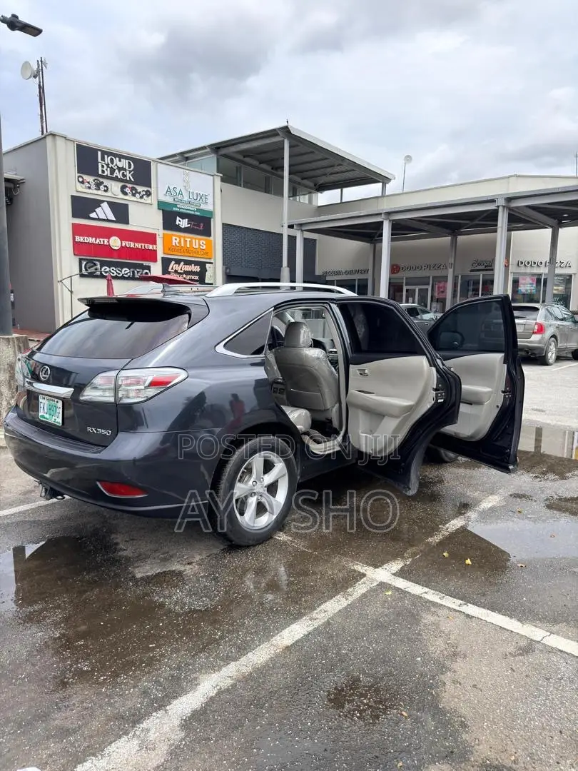 Lexus RX 2011 Gray