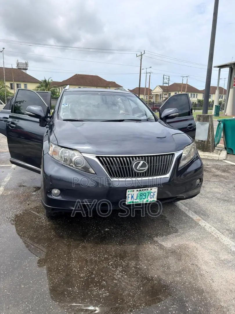 Lexus RX 2011 Gray