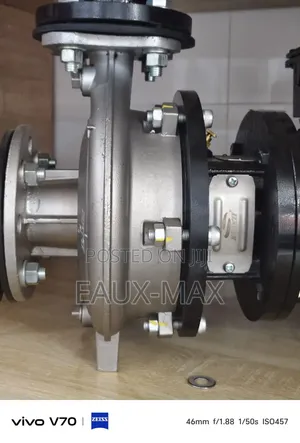 Shakiti India Pump