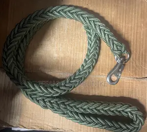Dog Accessories