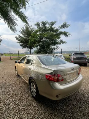 Toyota Corolla 2010 Gold
