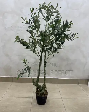 Artificial Twisted Olive Tree 120cm | Artificial Olive Tree Nigeria