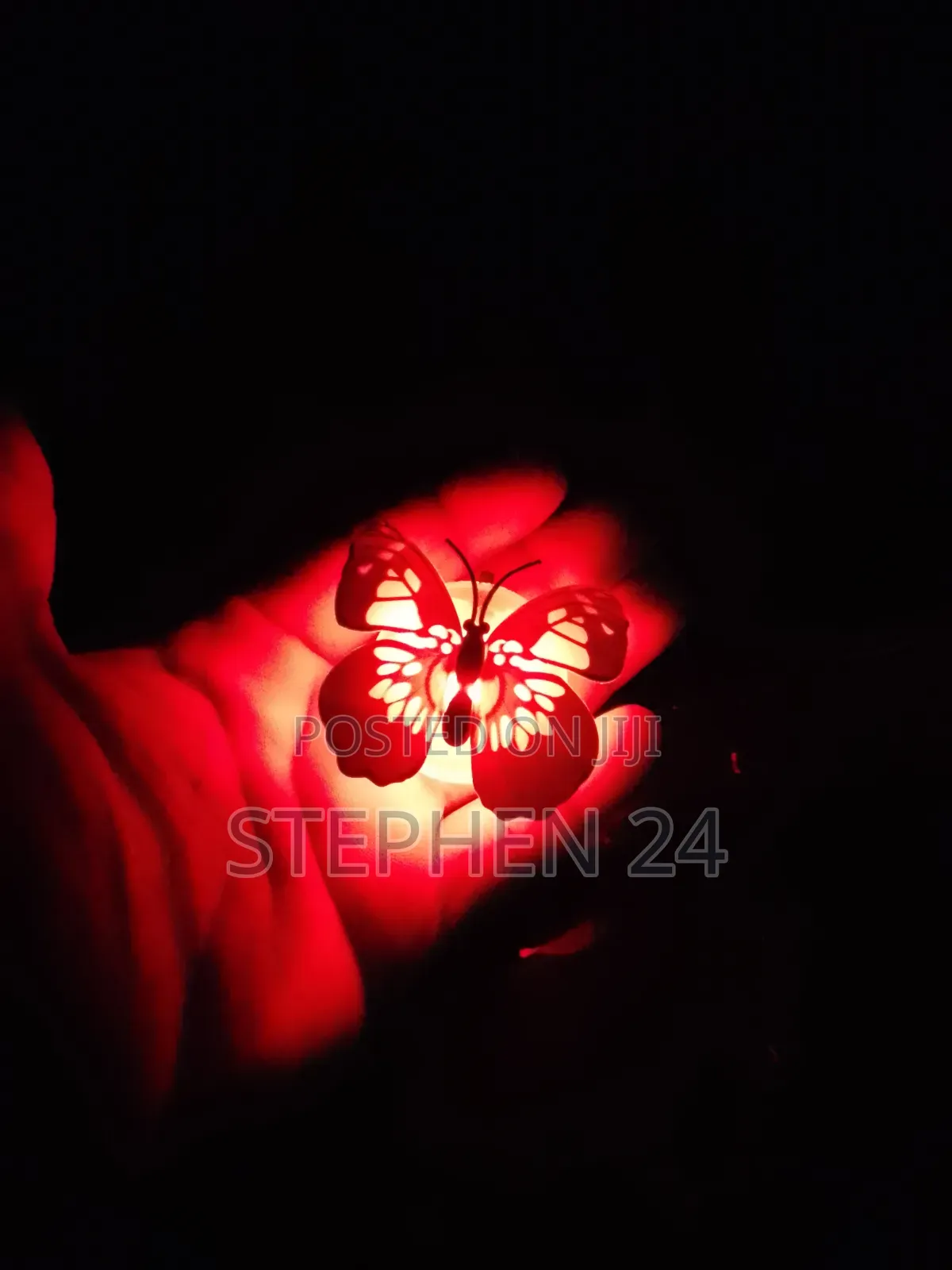 Butterfly LED Decor Lights