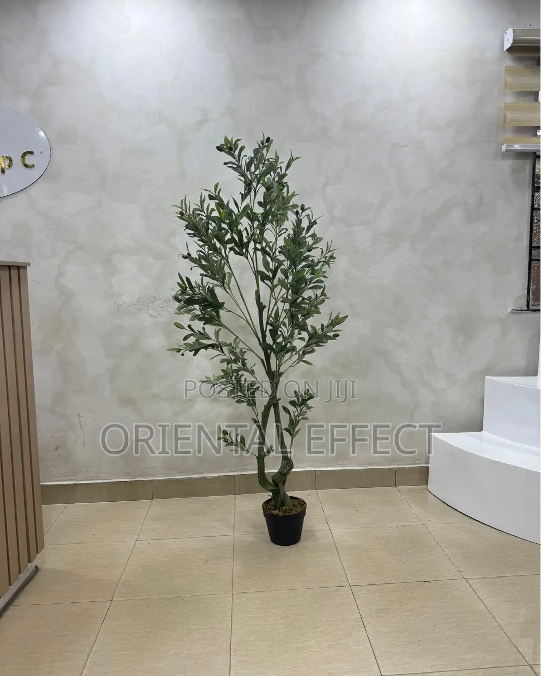 Artificial Twisted Olive Tree 150cm | Artificial Olive Tree Nigeria