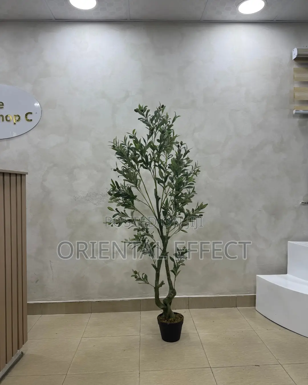 Artificial Twisted Olive Tree 150cm | Artificial Olive Tree Nigeria