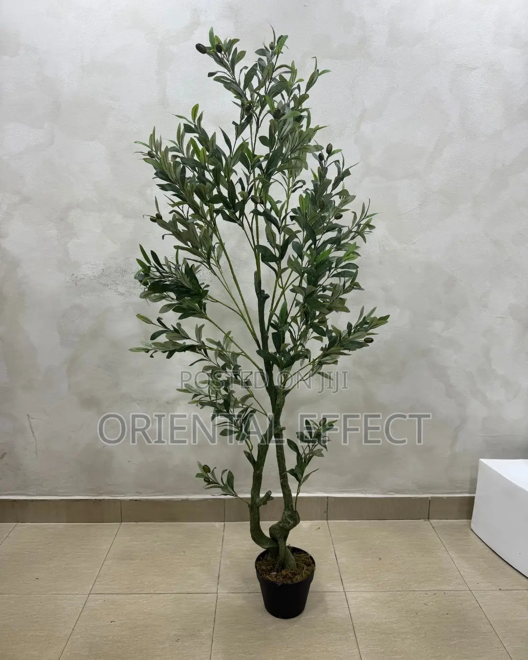 Artificial Twisted Olive Tree 150cm | Artificial Olive Tree Nigeria