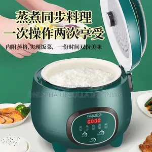 Multi-Functional Electric Rice Cooker