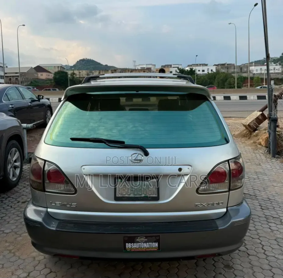 Lexus RX 2003 Silver