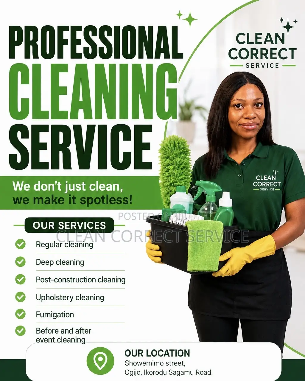Professional Cleaning Service