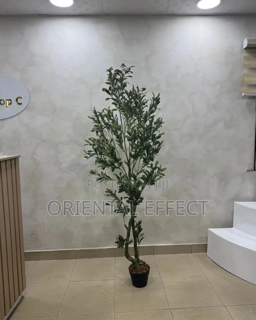 Artificial Twisted Olive Tree 180cm | Artificial Olive Tree Nigeria