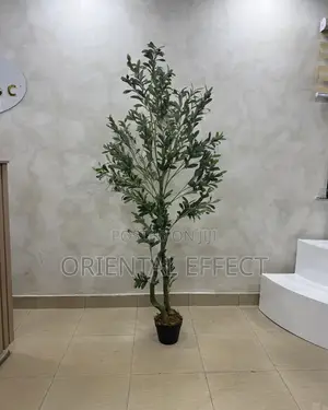 Artificial Twisted Olive Tree 180cm | Artificial Olive Tree Nigeria