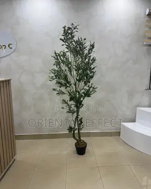 Artificial Twisted Olive Tree 180cm | Artificial Olive Tree Nigeria