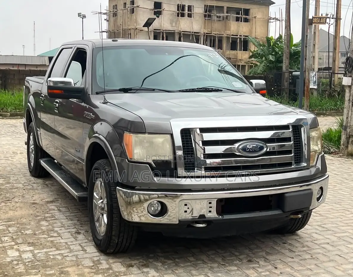 Ford F-150 XLT 2013 Gray