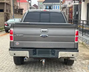 Ford F-150 XLT 2013 Gray