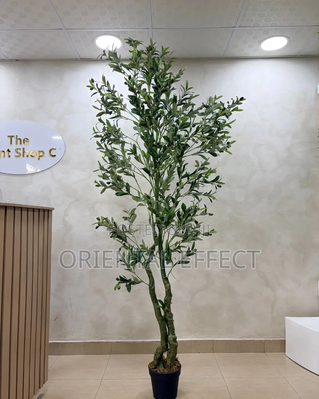 Artificial Twisted Olive Tree 210cm | Artificial Olive Tree Nigeria